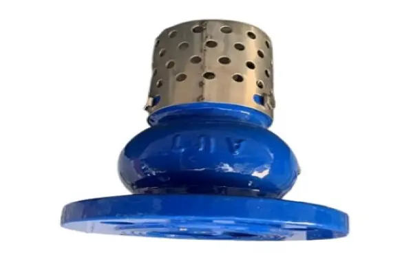 Rọ hút DN100